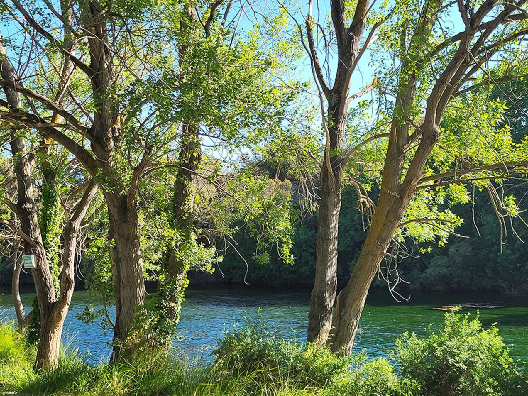 Camping Le Val De Cesse Mirepeisset Exterior foto